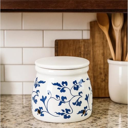 Terracotta Garlic Storage Container, Ceramic Keeper for Kitchen