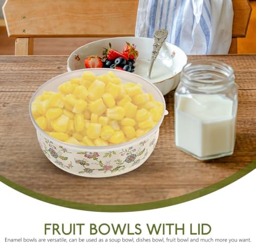 BESTonZON 5PCS Enamel Bowls, Enamel on Steel Mixing Bowls with Lids