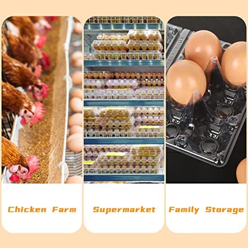 100PCS Plastic Egg Cartons Bulk 2x3 Egg Holders Style Holds 6 Eggs