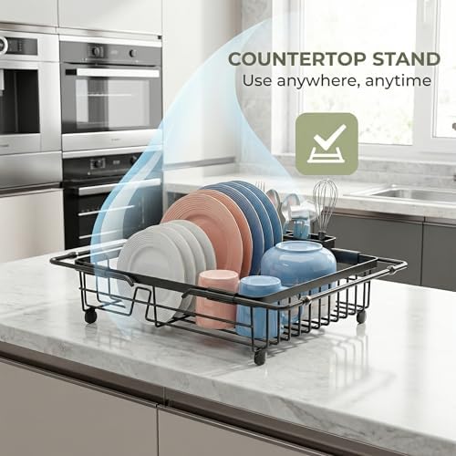 Expandable In Sink Dish Drying Rack with Utensil Holder