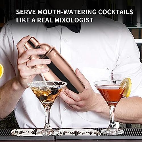 Safring 24oz Cocktail Shaker Bar Set, Martini Shaker with Built-In