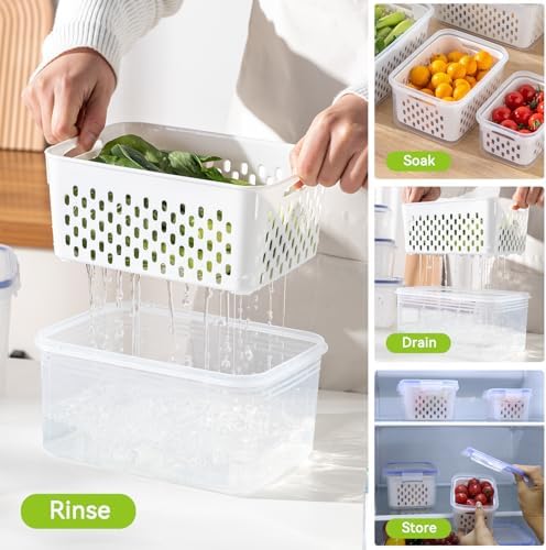 3 Pack Fruit Storage Containers for Fridge, Airtight Food Storage