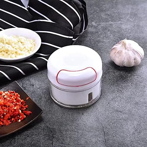 Mini Garlic Chopper, Garlic Mincer Manual Hand Food Chopper Manual