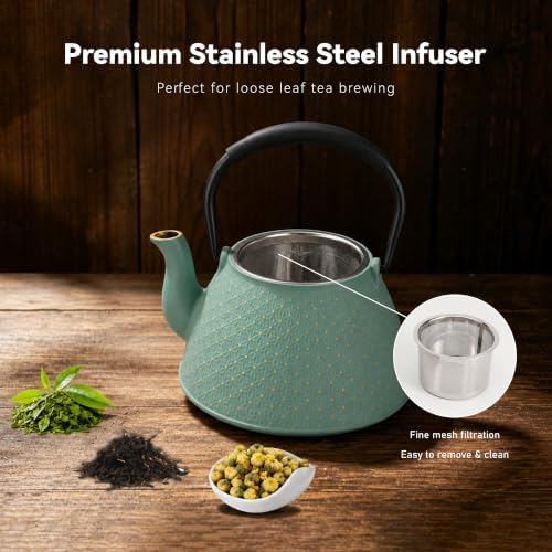 Cast Iron Teapot with Infuser, 42 oz