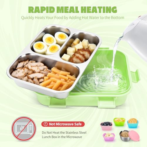 Stainless Steel Lunch Box for Kids, 3 Compartments, Green