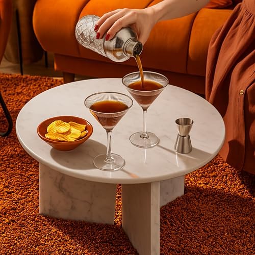 VEMACITY Silver Cocktail Shaker Set + 2 Ribbed Martini Glasses & Bar