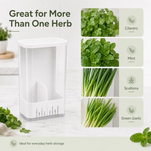 Herb Keeper Storage Container with Removable Partition