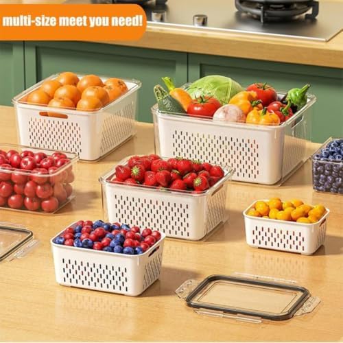 4 in 1 Food Storage Container, Produce Keeper Containers for Fridge