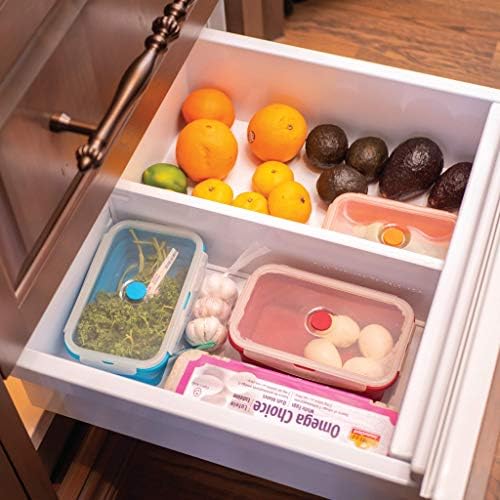 Flat Stacks Collapsible Storage Containers | Set of 4 Square Silicone