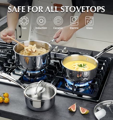 KOCH SYSTEME CS 6PCS Tri-Ply Stainless Steel Pot Set with Lids 2 & 3 & 8QT