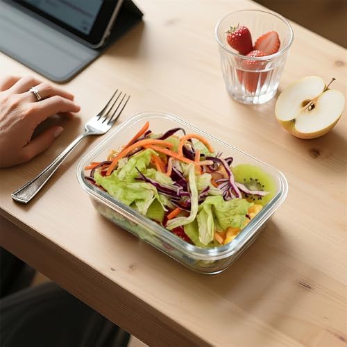 BAYZZ 10 Pack 22 oz Glass Meal Prep Containers