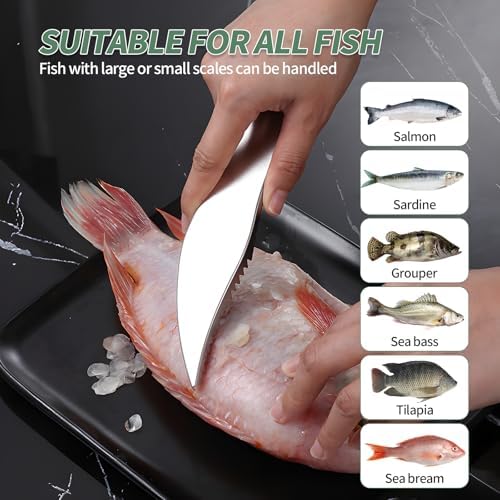 4 PCS Fish Scaler, Stainless Steel Fish Scale Remover, Fish Descaler