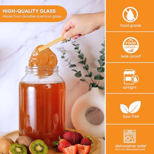 2-Pack 1 Gallon Glass Jars with Lids