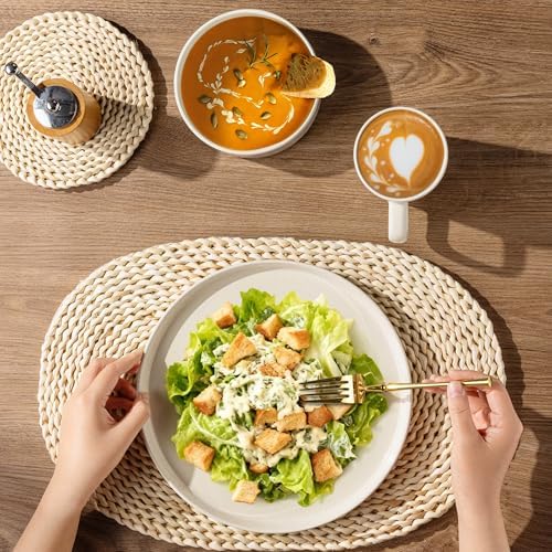 AmorArc Stoneware Dinnerware Sets for 8,24 Pcs Plates and Bowls Set