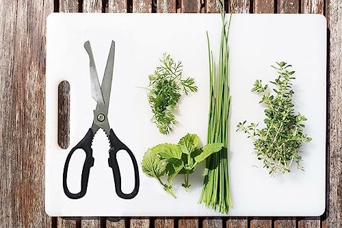 Korean BBQ Kalbi Meat Cutting Scissors Large All Purpose Stainless
