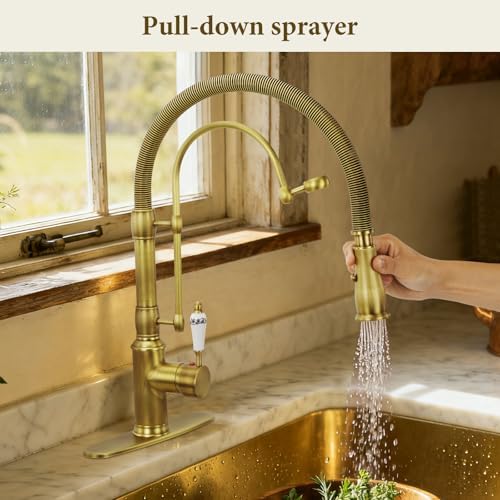 Brass Pull-Down Kitchen Faucet, Brushed Gold