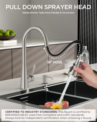 FORIOUS Kitchen Faucet with Pull Down Sprayer, Classic Stainless Steel