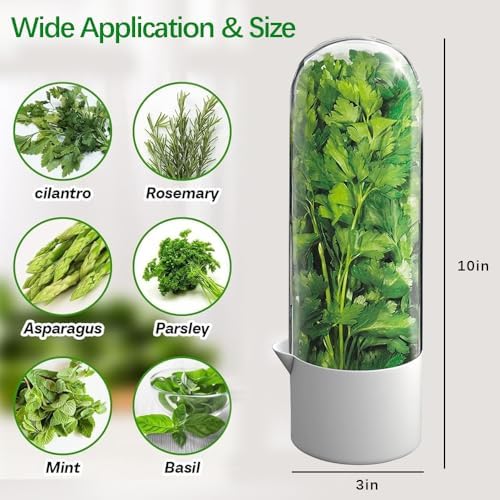 2 Pack Herb Keeper for Refrigerator, Clear BPA-Free