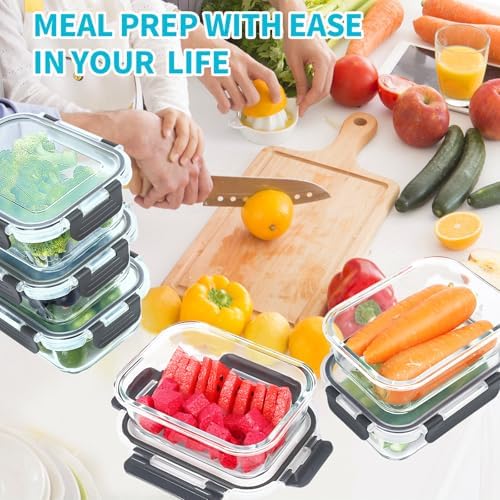 Skroam 10 Pack Glass Meal Prep Containers, 22 OZ
