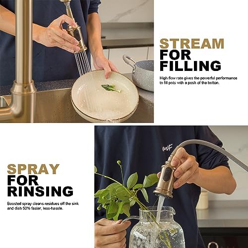 Lava Odoro Champagne Gold Kitchen Faucet with Pull Down Sprayer
