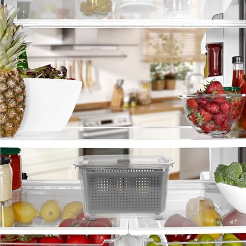 Sealed Food Storage Container, 2 Compartment PP PET Crisper