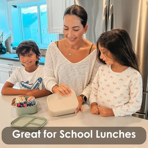 Ali+Oli Silicone Bento Box for Kids, Toddler