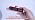 DOQAUS Dual Probe Meat Thermometer
