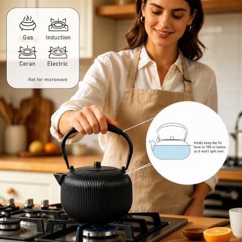 Cast Iron Teapot Set with 2 Cups, 34 oz (1000 ml) Japanese Tea Pot