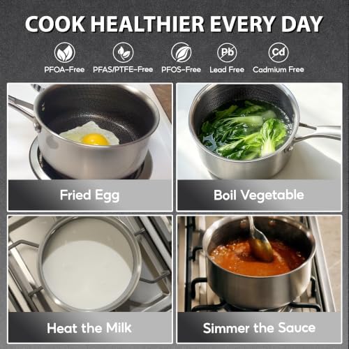 COOKER KING 2 Qt Stainless Steel Saucepan, Small Cooking Pot with Lid