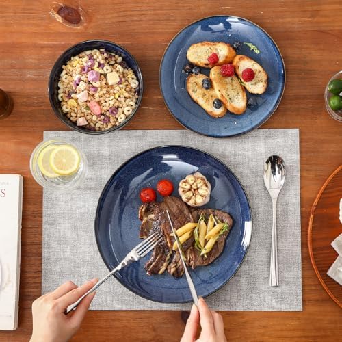 vicrays Ceramic Round Plates Set of 6 - Porcelain 10 inch Dinner