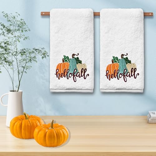 Cotton Embroidered Pumpkin Kitchen Towel Set of 2 - Autumn