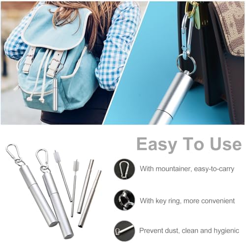Collapsible Metal Drinking Straws, 2 Packs Telescopic Straw With Case