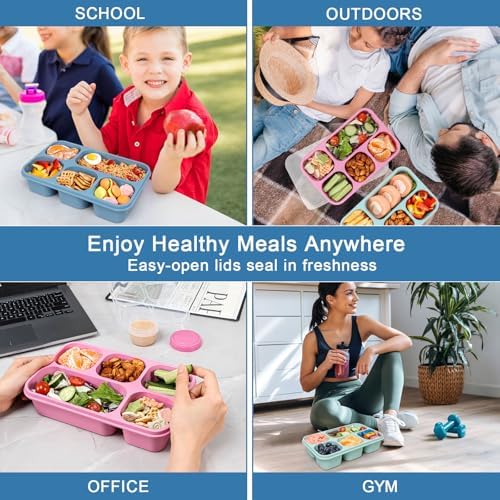 Caperci Bento Box Adult Lunchable Container with 3pc Dressing Cups