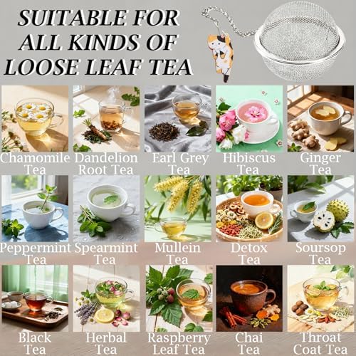 Cat Tea Infuser Set, 4-Pack Stainless Steel Loose Leaf Tea Balls with