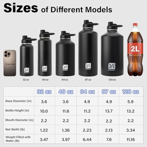 DYSANKY Insulated Water Bottle with Straw Lid & Portable Carrier Bag