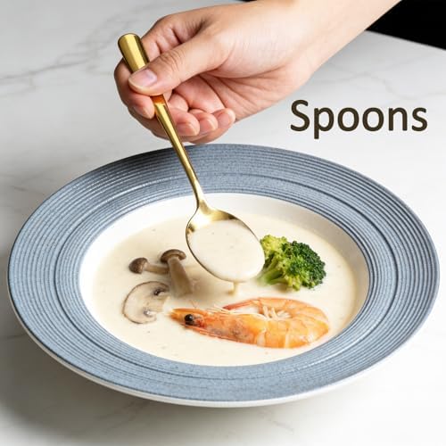 20 Piece Stainless Steel Flatware Set,Cutlery Utensil Silverware Set