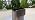SIDIANBAN Mini Hanging Trash Can with Lid