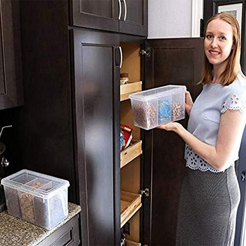2-Pack Divided Veggie Storage Containers with Lids