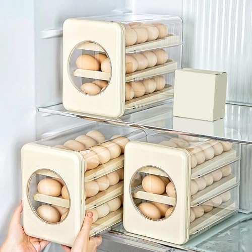 Egg Rack for Refrigerator Clear Sloped Track Design Organizer Rack