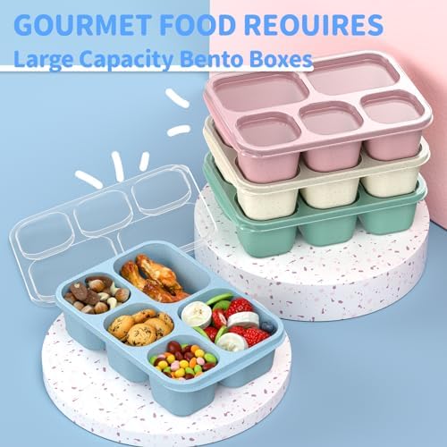 Bento Box Adult Lunch Box - 4 Pack, 5 - Compartment Meal Prep