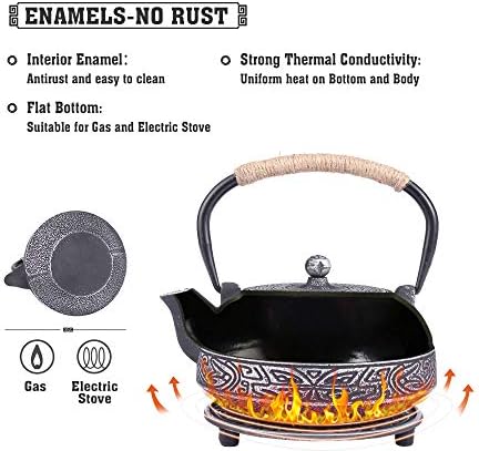 Japanese Style Cast Iron Teapot Set Tetsubin Kettle with Infuser
