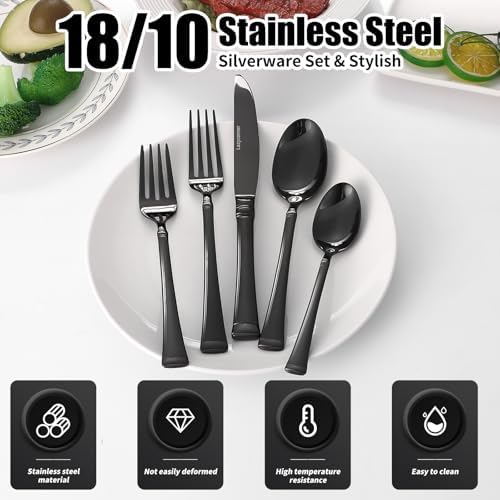 20-Piece Black Silverware Set,Service for 4,18/10 stainless steel