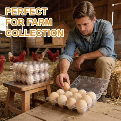100 Pack 12-Count Plastic Egg Cartons