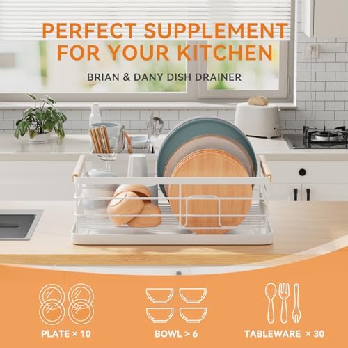 BRIAN & DANY Stainless Steel Dish Drying Rack, White