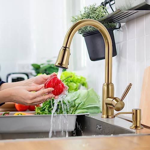 WOWOW Gold Kitchen Faucet with Soap Dispenser