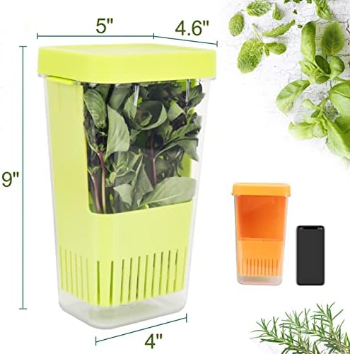 LUVCOSY Fresh Herb Keeper for Refrigerator, Clear BPA-Free