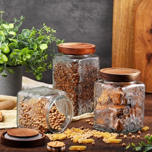 Suclain 5 Pcs Sunflower Vintage Glass Jars Airtight Lid 17/24/34