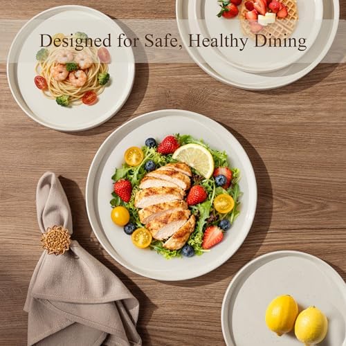 AmorArc Stoneware Dinnerware Sets for 8,24 Pcs Plates and Bowls Set