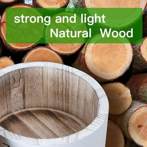 Coffee Filter Holder Wooden Coffee Filter Container Coffee Filter