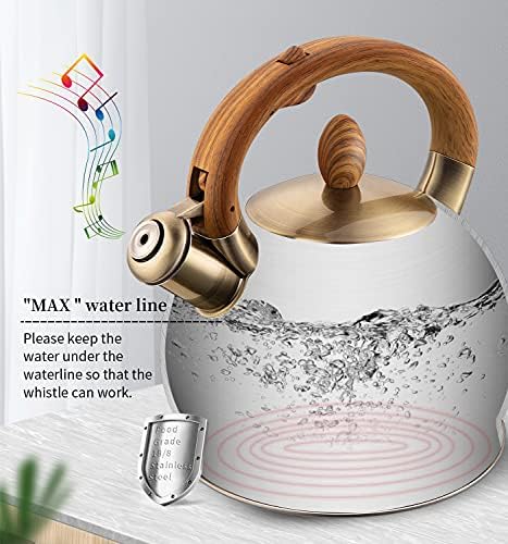 Whistling Tea Kettle 2.64 Quart Black